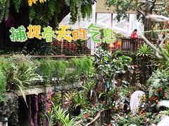 -正佳雨林生态植物园