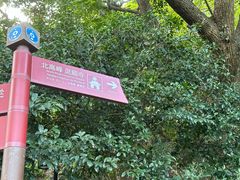 -灵顺寺