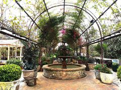 -The Grounds of Alexandria