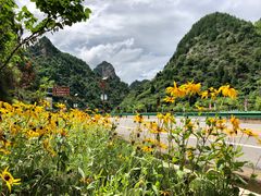 -大水川景区