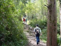 -莫干山风景区