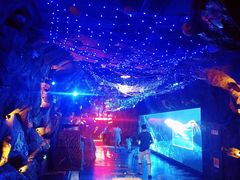 -芜湖新华联大白鲸海洋公园