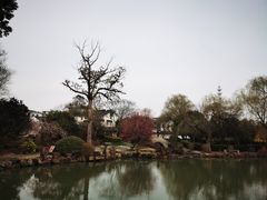 -司徒庙