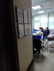 -南京医科大学友谊整形外科医院