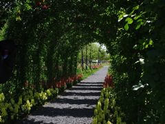 -佛手湖郊野公园