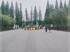 -黄海国家森林公园