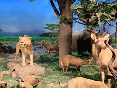 -国家自然博物馆