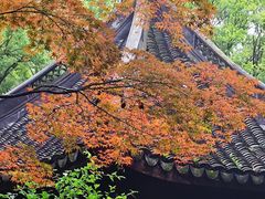 -上海醉白池公园