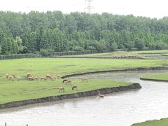 -溱湖国家湿地公园