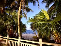 -碧桂园十里银滩