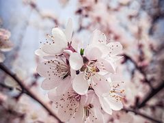 -唐城墙遗址公园