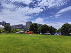 -南京航空航天大学(将军路校区)
