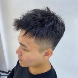 点击看大图 -金棕榈