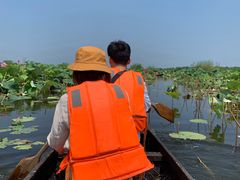 -洪湖生态旅游区