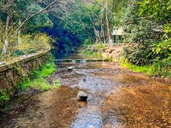 -龙井壹号·茶缘山景宴(龙井村店)