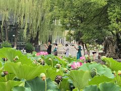 -莲湖公园