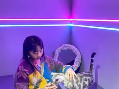 -极木²邸 人与宠物·互动社区
