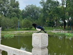 -森林公园(尖草坪区)