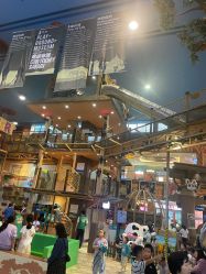 -卡通尼·Safari非洲探索乐园·生日会(金桥国际商业广场店)