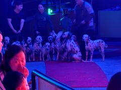 -广州长隆国际大马戏