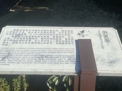 -金山农民画村-枫泾波兰倒置屋