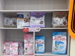 -天宠宠物医院24小时·急重症诊疗中心·全科·腔镜特色(和平分院)