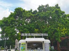 -福田红树林生态公园