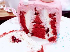 火烈鸟-随心小姐