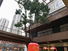 -瑞虹新天地月亮湾