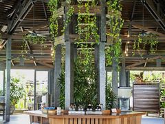 -卡帕莱度假村(西巴丹岛)