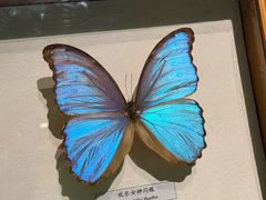 -昆明动物博物馆