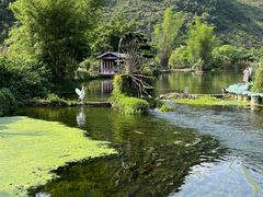 -靖西鹅泉风景区