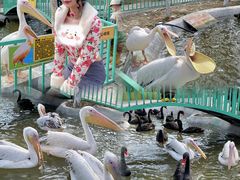 -水上乐园·欢乐世界