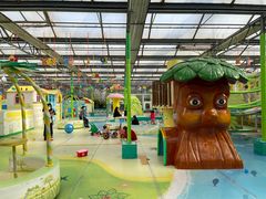 -南宫五洲植物乐园