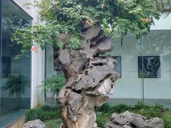 -苏州园林博物馆