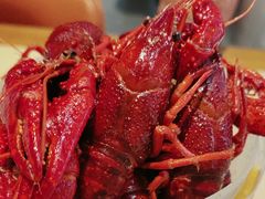 -杨氏青龙虾·羊蝎子(珠江路店)