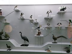 -国家自然博物馆