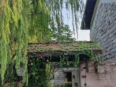 -绍兴镜湖国家城市湿地公园