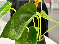 -眉州东坡(通州店)