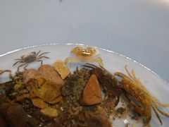 -三个大叔东北烧烤·砂锅菜(西三旗店)