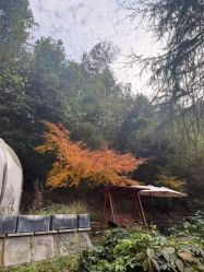 点击看大图 -尚圣月子会所·庄园式月子中心(萧山湘湖店)