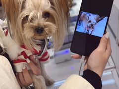 -顺电数码家电(万象天地店)