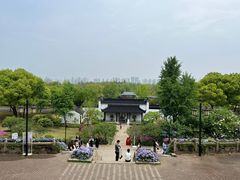 -苏州上方山国家森林公园