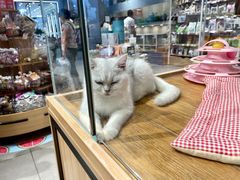 -狗道宠物(常熟印象城店)