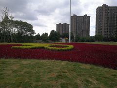 -杭州城北体育公园