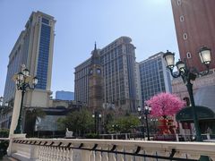 -澳门威尼斯人综合度假区