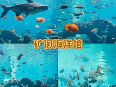-长鹿旅游休博园