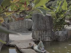 -深圳仙湖植物园