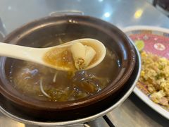 -大中鱼翅 Taitong Shark Fin