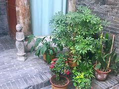 -锦宅客栈